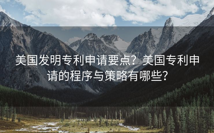 美国发明专利申请要点？美国专利申请的程序与策略有哪些？