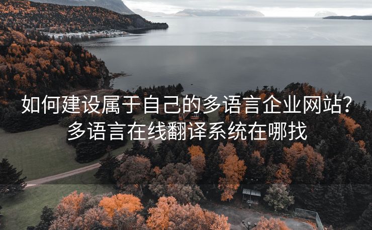 如何建设属于自己的多语言企业网站？多语言在线翻译系统在哪找