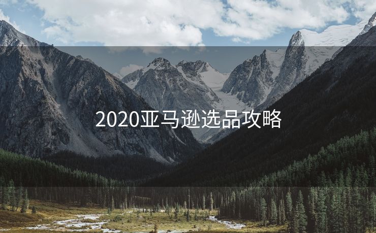 2020亚马逊选品攻略