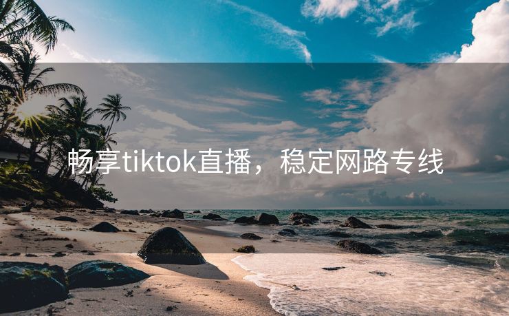 畅享tiktok直播，稳定网路专线