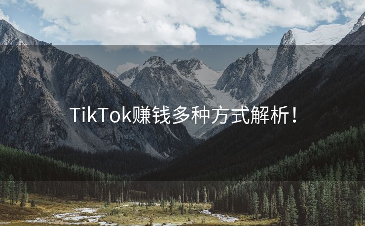 TikTok赚钱多种方式解析！