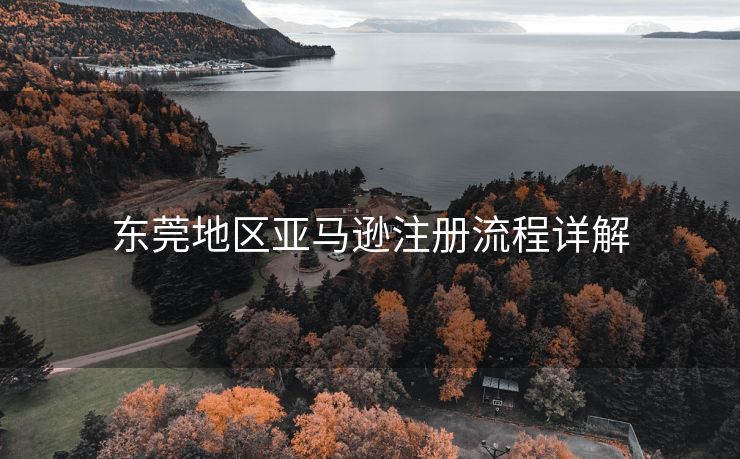 东莞地区亚马逊注册流程详解