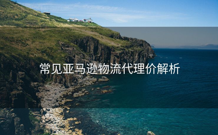 常见亚马逊物流代理价解析