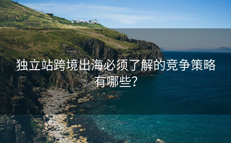 独立站跨境出海必须了解的竞争策略有哪些？