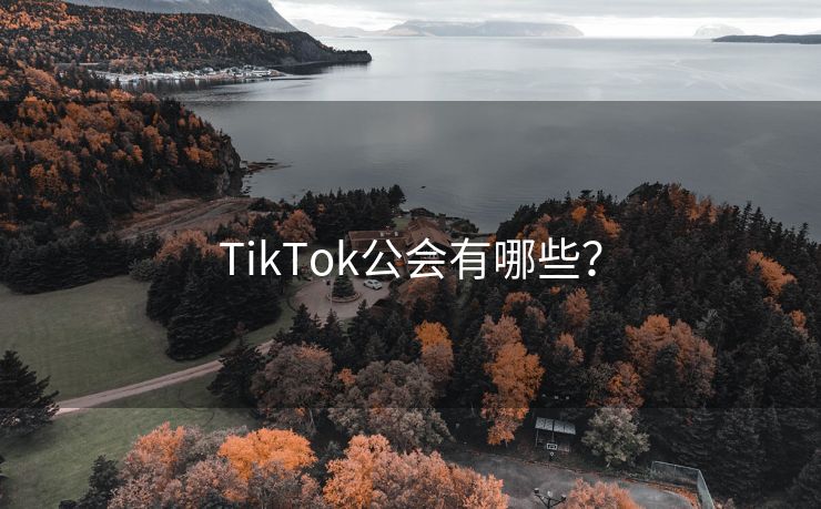 TikTok公会有哪些？