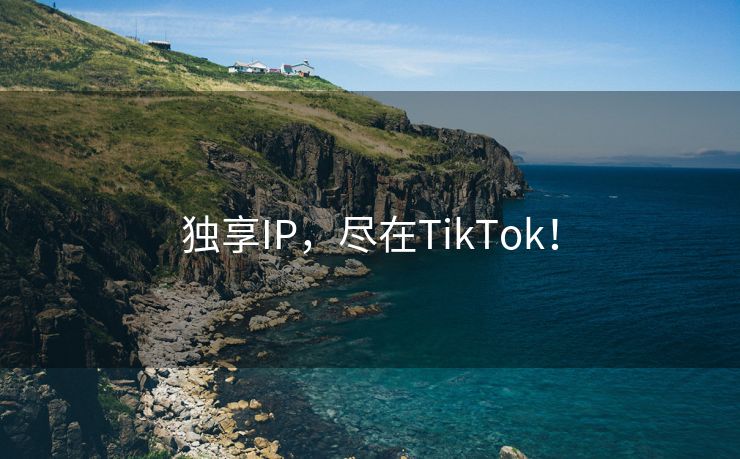 独享IP，尽在TikTok！