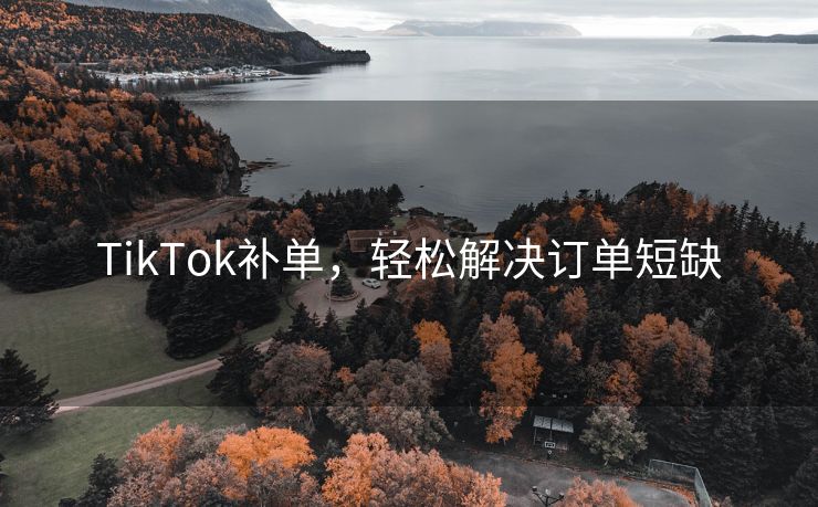 TikTok补单，轻松解决订单短缺