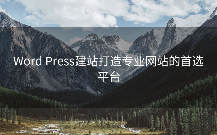 Word Press建站打造专业网站的首选平台