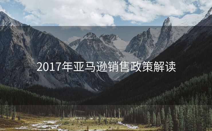 2017年亚马逊销售政策解读