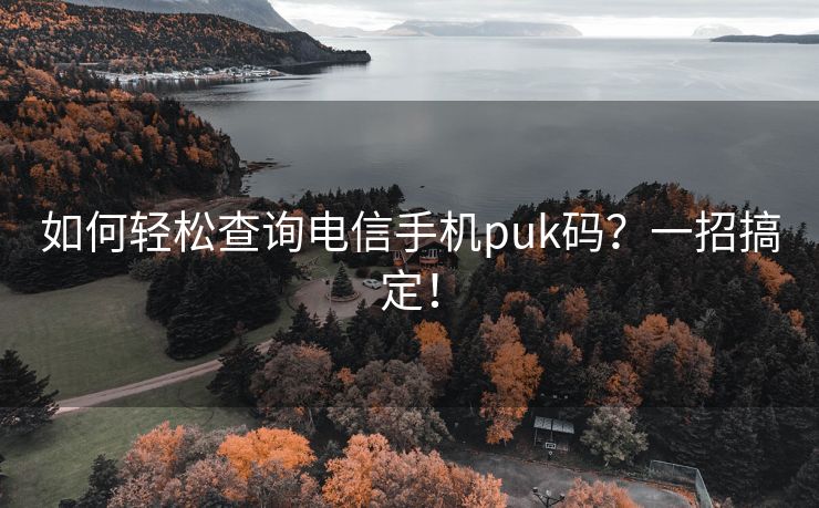 如何轻松查询电信手机puk码？一招搞定！