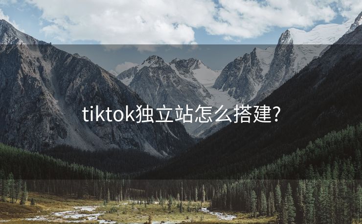 tiktok独立站怎么搭建?