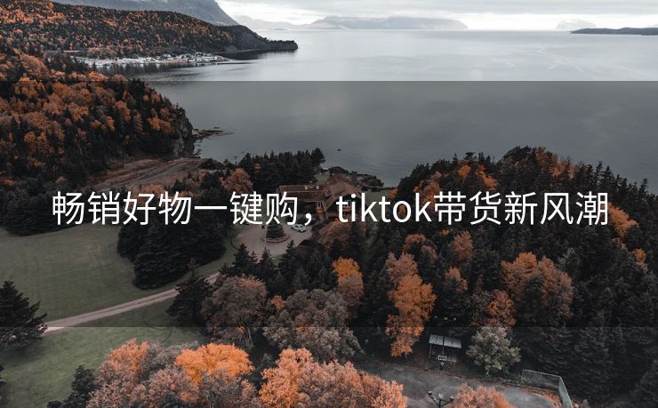 畅销好物一键购，tiktok带货新风潮