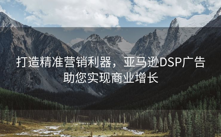 打造精准营销利器，亚马逊DSP广告助您实现商业增长