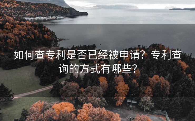 如何查专利是否已经被申请？专利查询的方式有哪些？