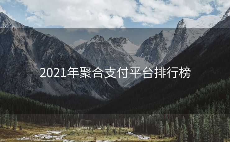 2021年聚合支付平台排行榜