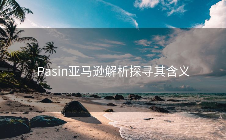 Pasin亚马逊解析探寻其含义