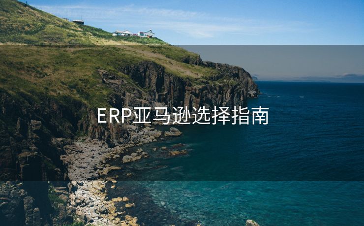 ERP亚马逊选择指南