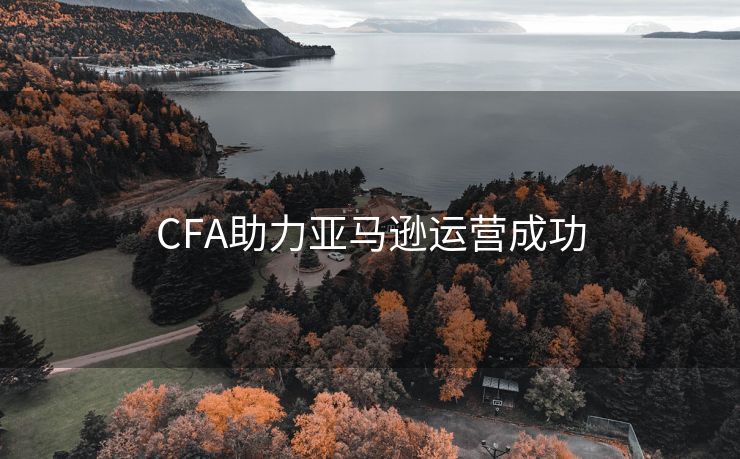 CFA助力亚马逊运营成功