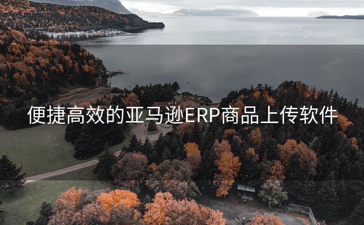 便捷高效的亚马逊ERP商品上传软件