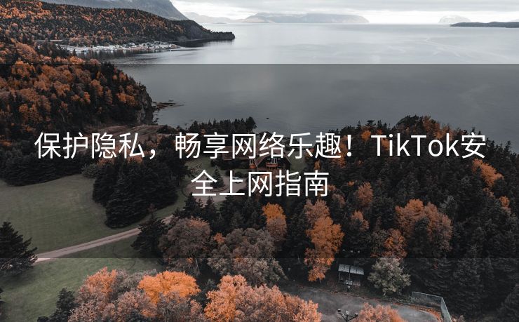 保护隐私，畅享网络乐趣！TikTok安全上网指南