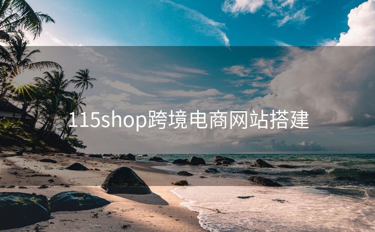 115shop跨境电商网站搭建