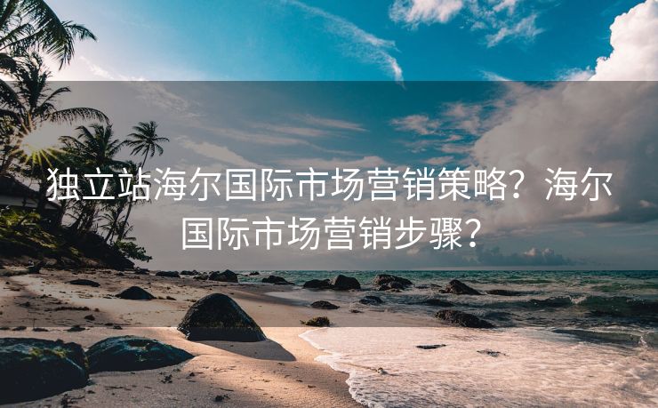 独立站海尔国际市场营销策略？海尔国际市场营销步骤？