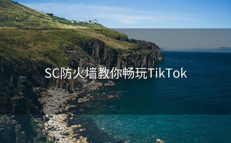 SC防火墙教你畅玩TikTok