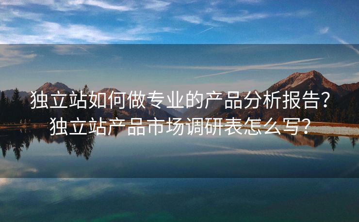 独立站如何做专业的产品分析报告？独立站产品市场调研表怎么写？