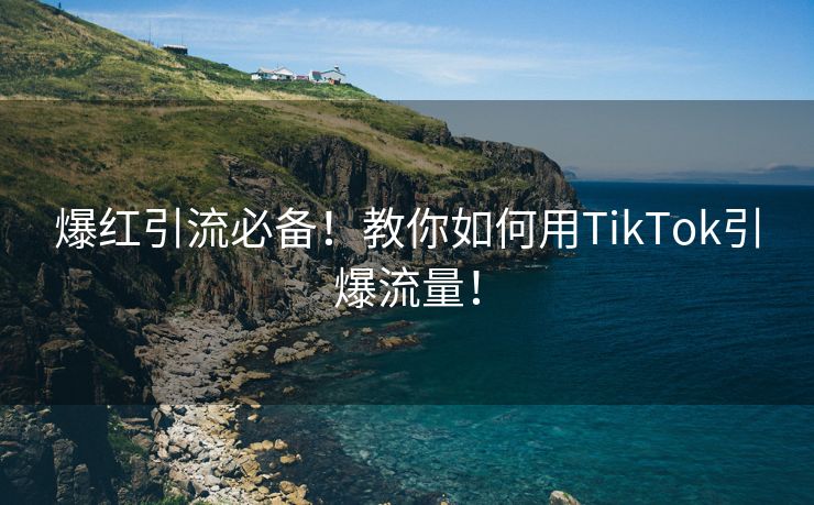 爆红引流必备！教你如何用TikTok引爆流量！