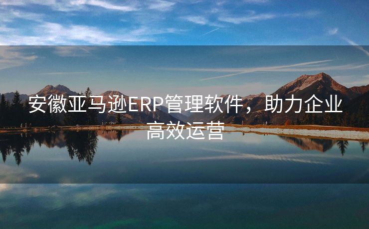 安徽亚马逊ERP管理软件，助力企业高效运营