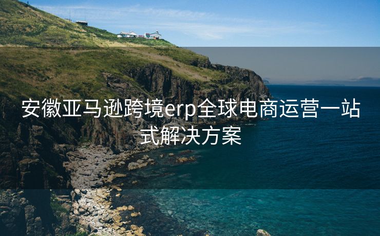 安徽亚马逊跨境erp全球电商运营一站式解决方案