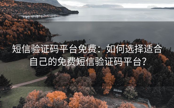 短信验证码平台免费：如何选择适合自己的免费短信验证码平台？