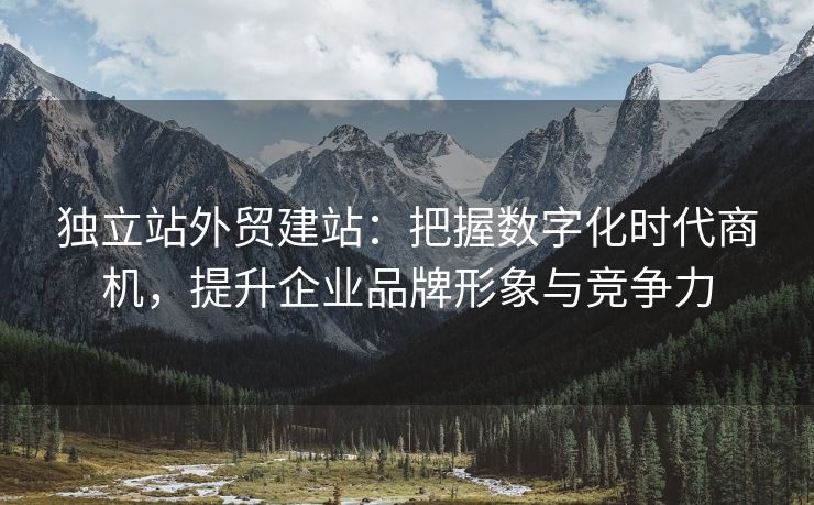 独立站外贸建站：把握数字化时代商机，提升企业品牌形象与竞争力