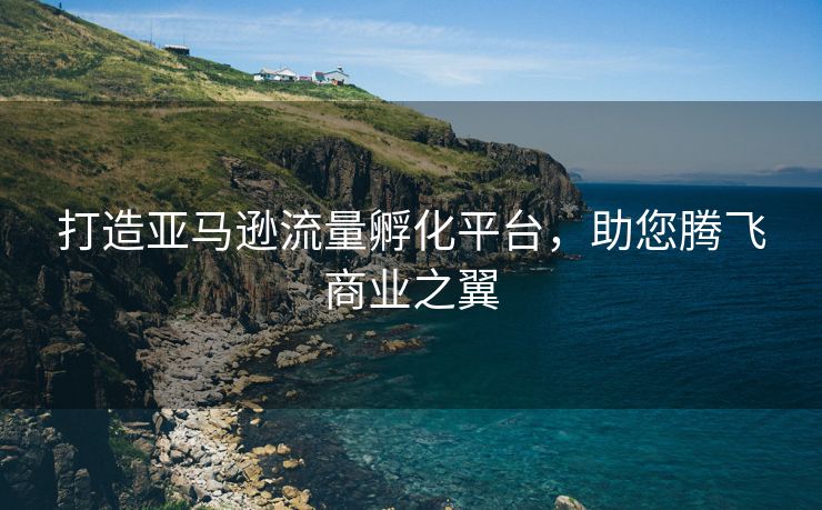 打造亚马逊流量孵化平台，助您腾飞商业之翼