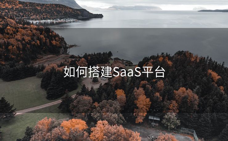 如何搭建SaaS平台