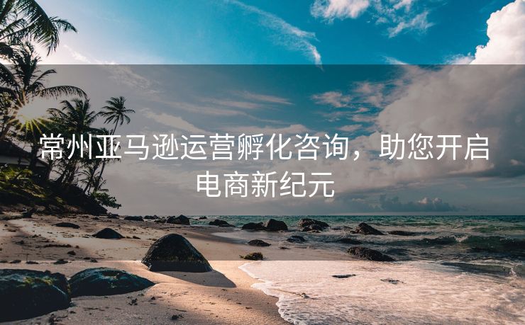 常州亚马逊运营孵化咨询，助您开启电商新纪元