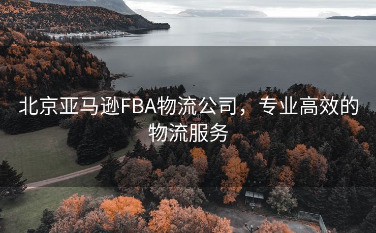 北京亚马逊FBA物流公司，专业高效的物流服务