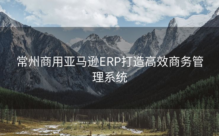 常州商用亚马逊ERP打造高效商务管理系统