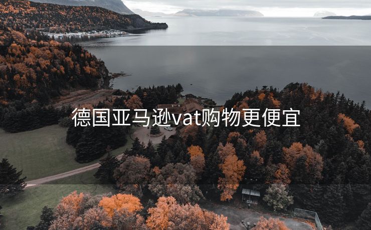 德国亚马逊vat购物更便宜