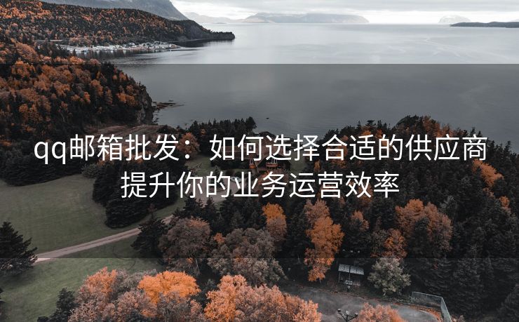 qq邮箱批发：如何选择合适的供应商提升你的业务运营效率