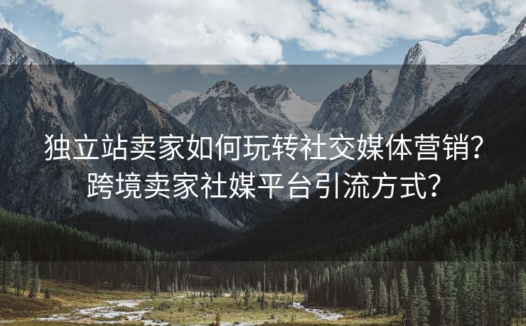 独立站卖家如何玩转社交媒体营销？跨境卖家社媒平台引流方式？