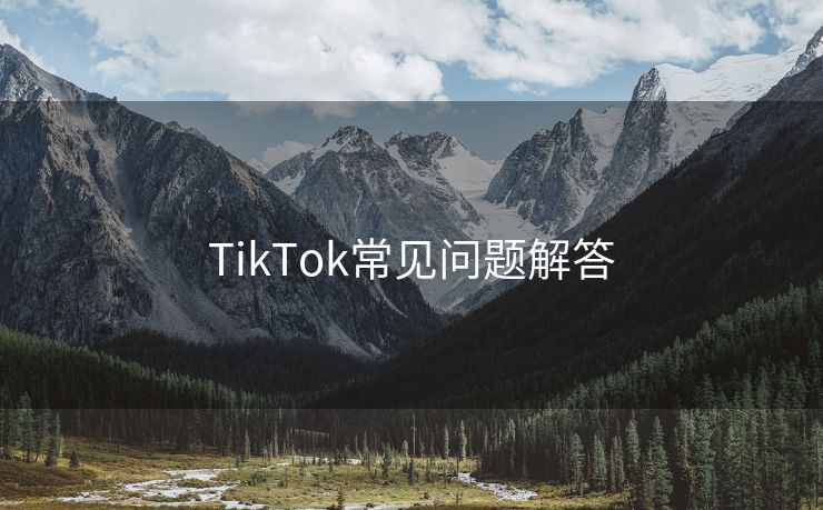 TikTok常见问题解答