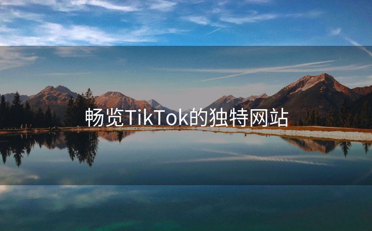 畅览TikTok的独特网站