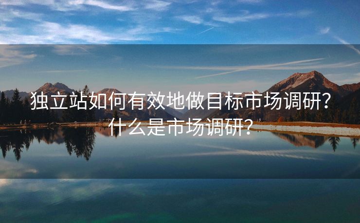 独立站如何有效地做目标市场调研？什么是市场调研？