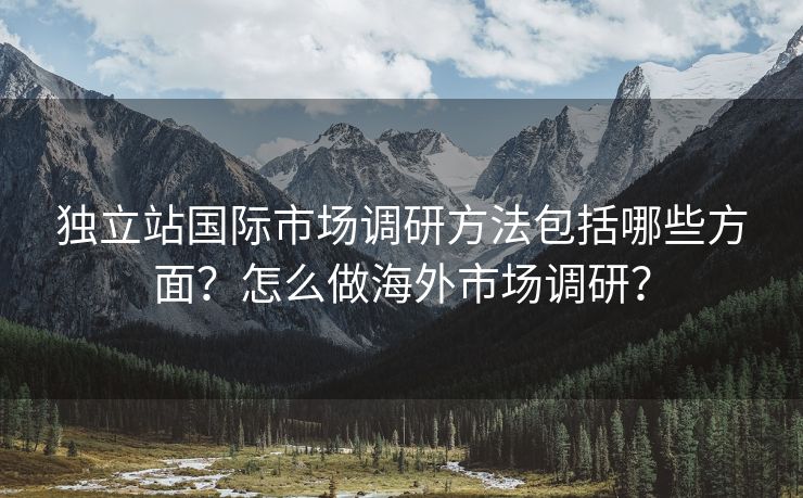 独立站国际市场调研方法包括哪些方面？怎么做海外市场调研？