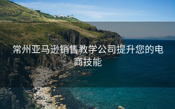 常州亚马逊销售教学公司提升您的电商技能