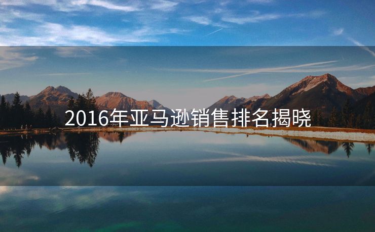 2016年亚马逊销售排名揭晓