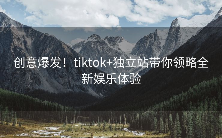 创意爆发！tiktok+独立站带你领略全新娱乐体验