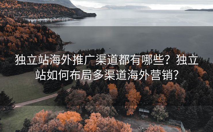 独立站海外推广渠道都有哪些？独立站如何布局多渠道海外营销？