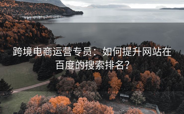 跨境电商运营专员：如何提升网站在百度的搜索排名？